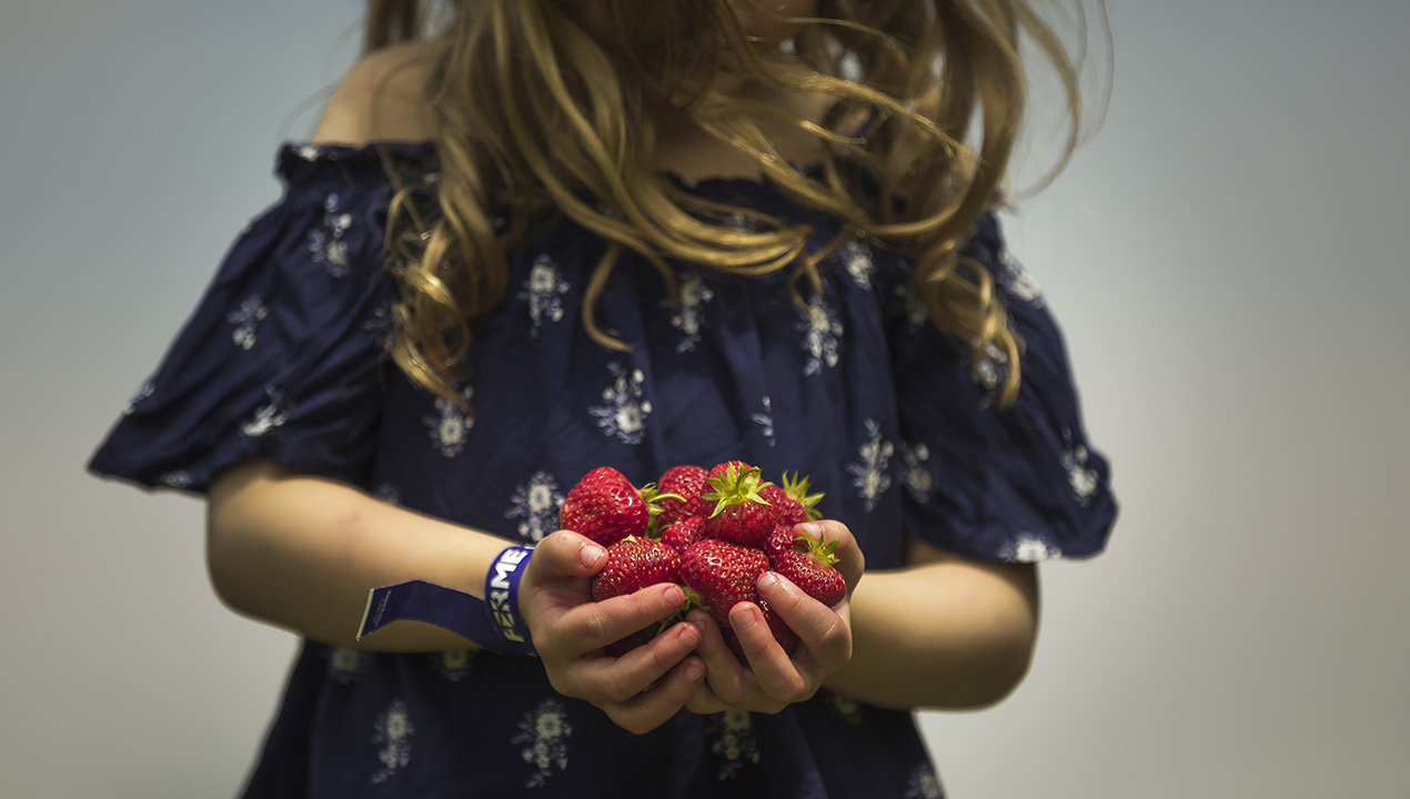 The Quinn Farm pick you own fruits and vegetables! — Enjoy winter in