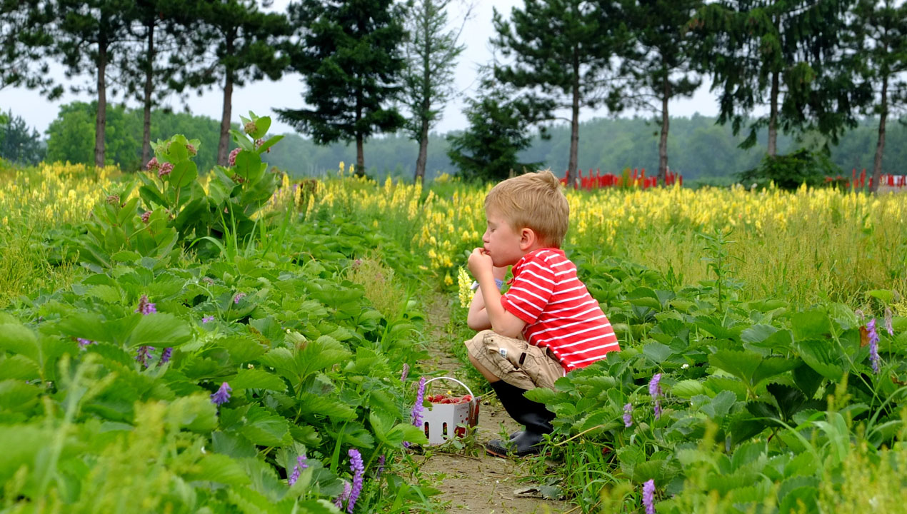 Quinn Farm