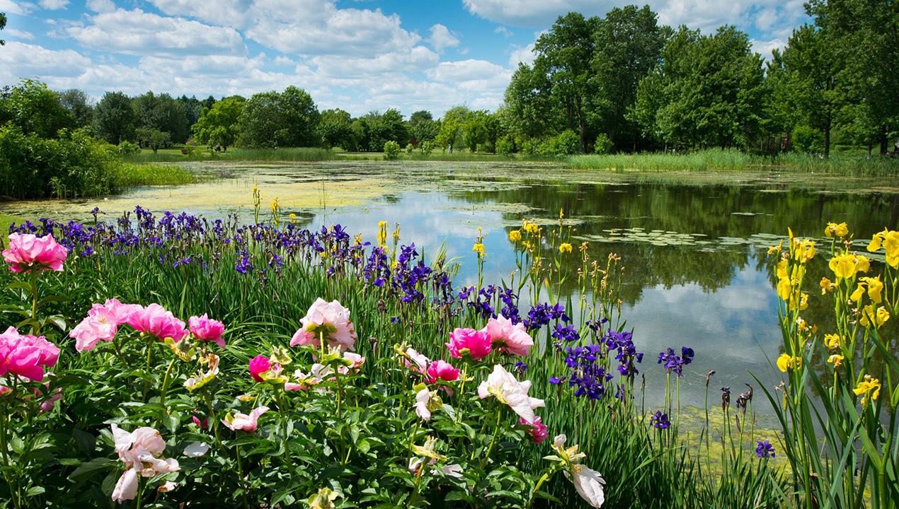 Le Jardin botanique : un joyau de Montréal! — Quoi faire au Québec