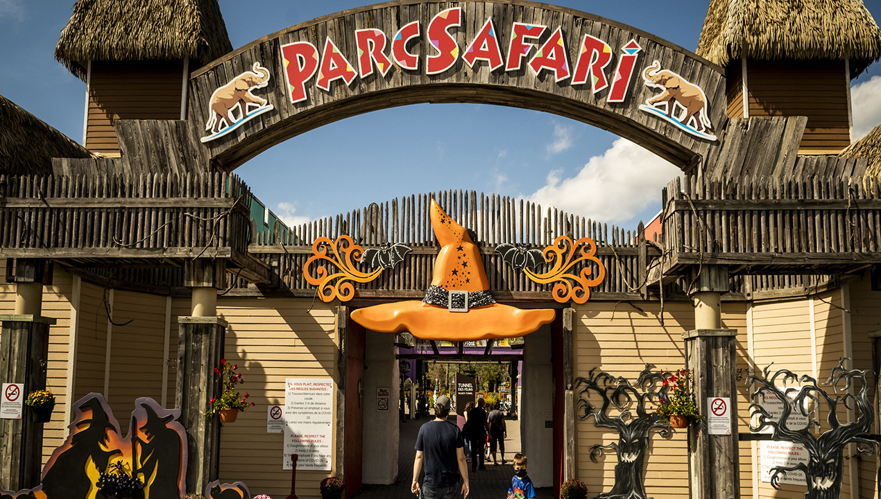 Parc Safari, pour un automne haut en couleurs! — Quoi faire au Québec